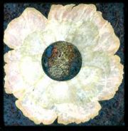 Earth Blossoming