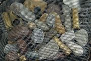 field-bullet-stones-detai