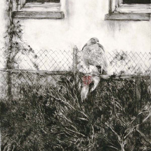 Hawk in the Garden