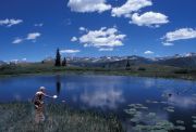 Offering: San Juans