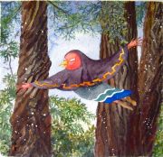 birdgrma-redwoods