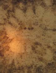 wead-photo-8