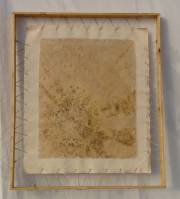 wead-photo-6
