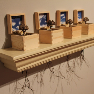 a-space-in-time-james-richey-gallery-laura-phelps-rogers-2013-130-copy