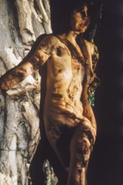 wead-four-woman-in-tree-jpg