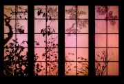 01-gardenscape-night