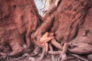 Seven-Sisters-Sitting-TreeGirl-960pix