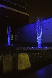 look-reflect-and-recover-at-night