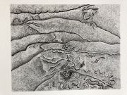 RTR-tracing-the-tides