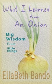 Onion-Cvr