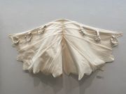 1_wings
