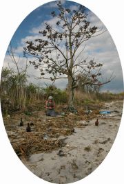 Nancy-Gesimondo-2_Seedpod-Tree-at-Glass-Bottle-Beach_21x14-copy