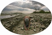 1_Nancy-Gesimondo_-3_-Bottle-Beach-Dead-Horse-Bay_14x21-copy
