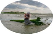 1_NancyGesimondo_1_DeadHorseBay_Paouring_14x21-copy