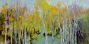 Mayo-Birches