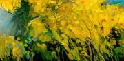 Aspen-Grove