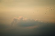dsc6094
