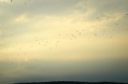 dsc6127