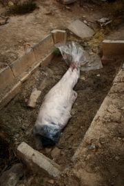 broken-pool-plastic-art-f-alamshah