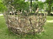 allen-making-my-nest