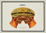 04holt_allisonleigh_suksma