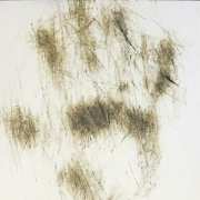 Hand print drawn by forest floor