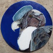 condor-r
