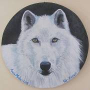 white-wolf-r