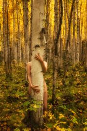 Birch-Forest-Embrace-TreeGirl-960pix