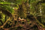 Styx-River-Temple-TreeGirl-960pix