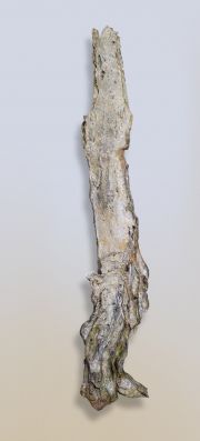 paperbark