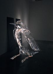 Abigail Spector-Common Murre Abigail Spector-Common Murre