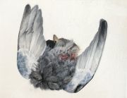 Abigail Spector_Telegraph and Dowling Place, Oakland Abigail Spector_Telegraph and Dowling Place, Oakland