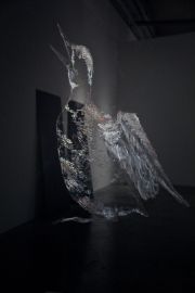 Spector-CommonLoon Spector-CommonLoon