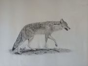 Spector_ Dry Spell Spector_ Dry Spell