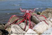 Metamorphosis3-AtefehKhas-CaspianSea-2017-2 Metamorphosis3-AtefehKhas-CaspianSea-2017-2