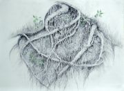 What-Grows-Below-