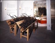 AFTERMATH: Excerpts From an Extinct Firehouse