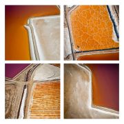 Salt-Pond-Grid-I