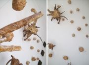 organic2_lr