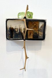 After-the-ApocalypseBriers-in-the-LacunaTNR