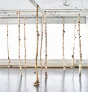 MicheleBrody_Nine_Birches_Photo©MarkShaw