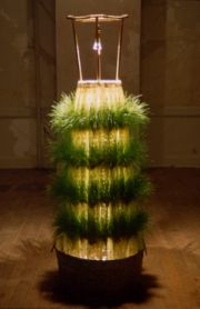 grassskirtiv