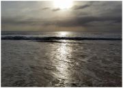 24-x16-print15-sawtell2