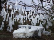 1-shipwrecked-my-life-for-a-bag