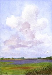 sapelo-space-wc