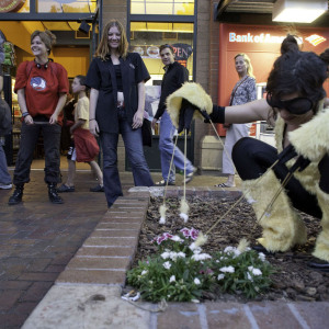 The Pollinatrix (Mill Avenue, Tempe, AZ)