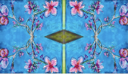 WEAD-Benyshek-Approaching-a-Region-of-the-SpaceTime