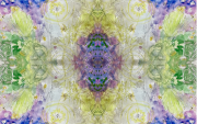 WEAD-Benyshek-That-Which-is-Emergent