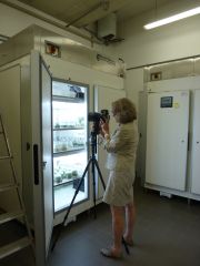 Dornith at work_1280H